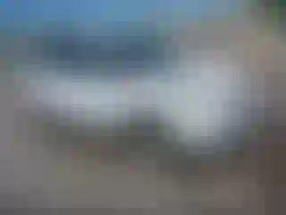 Vehicle Image- 2016 Ford Escape