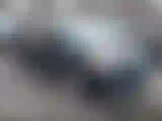 Vehicle Image- 2013 Ford Escape
