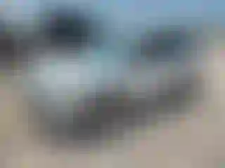 Vehicle Image- 2013 Ford Escape