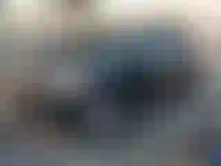 Vehicle Image- 2014 Ford Escape