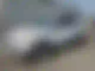 Vehicle Image- 2014 Ford Escape