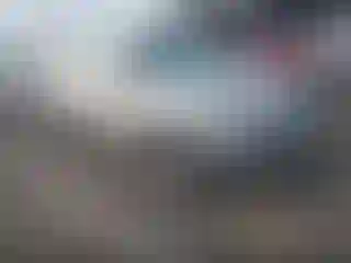 Vehicle Image- 2014 Ford Escape