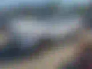 Vehicle Image- 2015 Ford Escape
