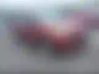 Vehicle Image- 2015 Ford Escape