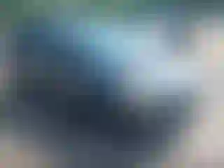 Vehicle Image- 2015 Ford Escape
