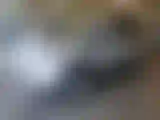 Vehicle Image- 2016 Ford Escape