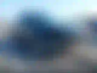 Vehicle Image- 2016 Ford Escape