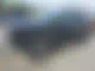 Vehicle Image- 2016 Ford Escape