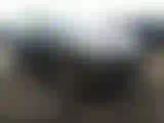 Vehicle Image- 2020 Ford Escape
