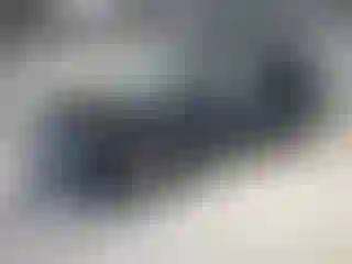 Vehicle Image- 2020 Ford Escape