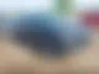Vehicle Image- 2020 Ford Escape