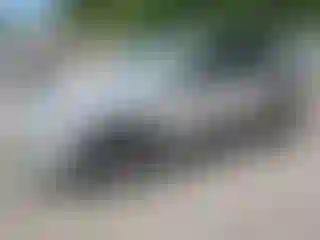 Vehicle Image- 2020 Ford Escape