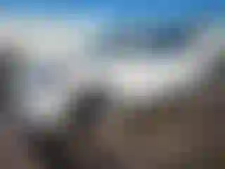 Vehicle Image- 2020 Ford Escape