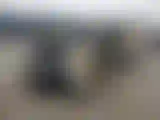 Vehicle Image- 2020 Ford Escape