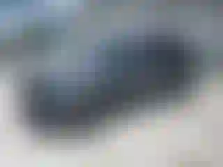 Vehicle Image- 2020 Ford Escape