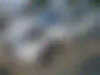 Vehicle Image- 2020 Ford Escape