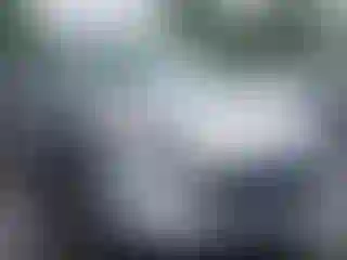 Vehicle Image- 2020 Ford Escape