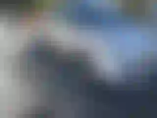 Vehicle Image- 2013 Ford Escape