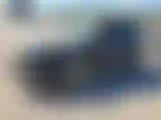 Vehicle Image- 2020 Ford Escape