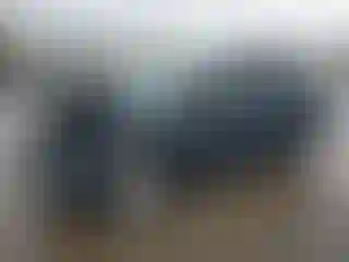 Vehicle Image- 2019 Ford Escape