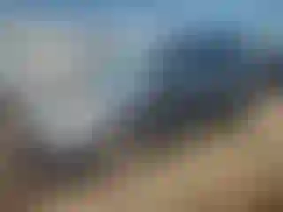 Vehicle Image- 2013 Ford Escape