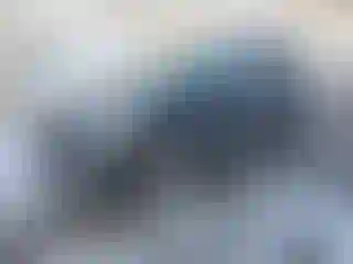 Vehicle Image- 2013 Ford Escape