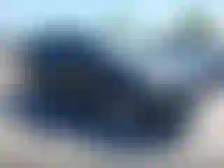 Vehicle Image- 2013 Ford Escape