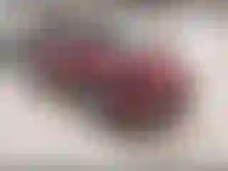 Vehicle Image- 2013 Ford Escape
