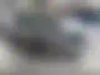Vehicle Image- 2021 Ford Escape