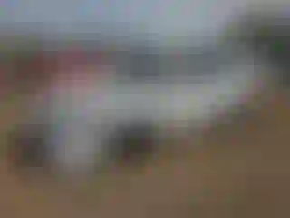 Vehicle Image- 2022 Ford Escape