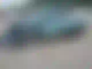 Vehicle Image- 2013 Ford Escape