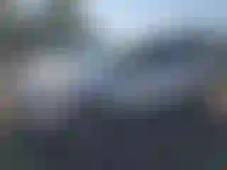 Vehicle Image- 2013 Ford Escape