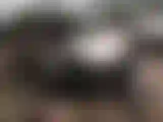 Vehicle Image- 2013 Ford Escape
