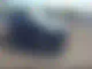 Vehicle Image- 2020 Ford Escape