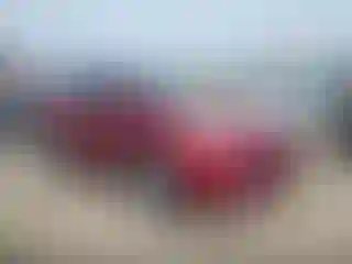 Vehicle Image- 2013 Ford Escape