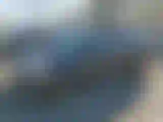 Vehicle Image- 2019 Ford Escape
