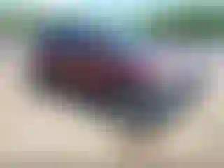 Vehicle Image- 2018 Ford Escape
