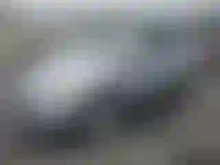 Vehicle Image- 2019 Ford Escape