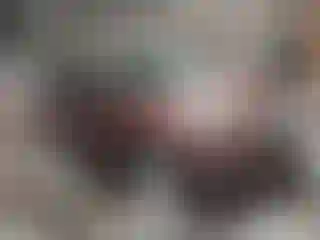 Vehicle Image- 2018 Ford Escape
