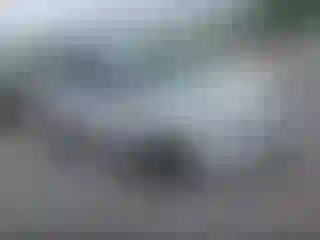Vehicle Image- 2019 Ford Escape