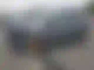 Vehicle Image- 2019 Ford Escape
