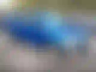 Vehicle Image- 2019 Ford Escape