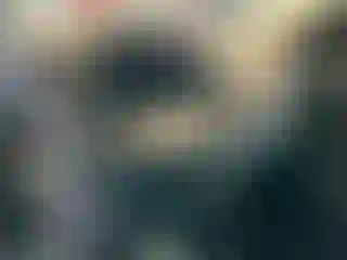Vehicle Image- 2019 Ford Escape