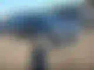 Vehicle Image- 2019 Ford Escape