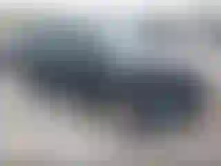 Vehicle Image- 2019 Ford Escape