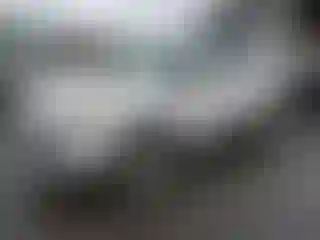 Vehicle Image- 2013 Ford Escape