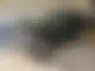 Vehicle Image- 2013 Ford Escape