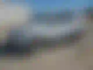 Vehicle Image- 2013 Ford Escape