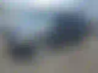 Vehicle Image- 2013 Ford Escape