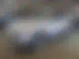 Vehicle Image- 2013 Ford Escape